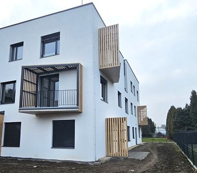 B. DŮM OSTRAVA alubky č. 1 dekor Borovice 737